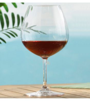 Wine Enthusiast Set of 4 Break-Free PolyCarb Pinot Noir Wine Glasses