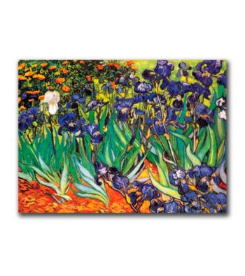 Irises at Saint-Remy by Vincent van Gogh Canvas Art