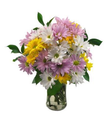 Sweets in Bloom® Assorted Daisy Bouquet