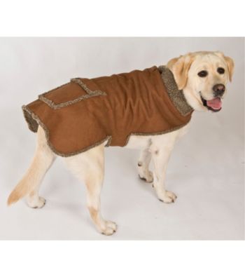 Carolina Pet Company Faux Suede & Tipped Berber Jacket