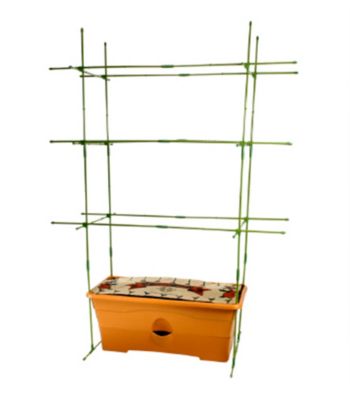 GrowBox™ Staking Kit