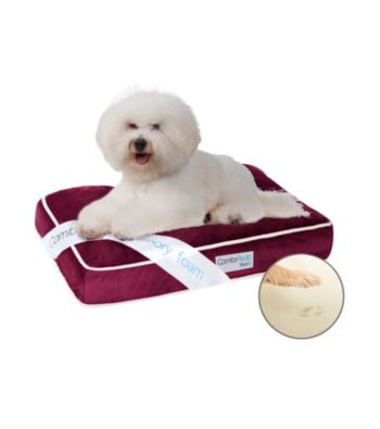 Simmons® Comforpedic Small Orthopedic Pet Napper