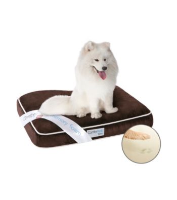 Simmons® Comforpedic Medium Orthopedic Pet Napper