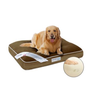 Simmons® Comforpedic Large Orthopedic Pet Napper
