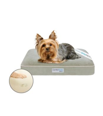 Simmons® Comforpedic Small Silver Green Orthopedic Pet Napper