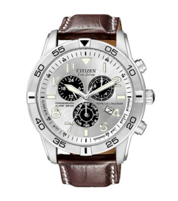 Citizen® Eco-Drive Mens Perpetual Calendar Watch