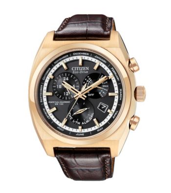 Citizen® Eco Drive Mens Rose Goldtone Calibre 8700 Perpetual Calendar Watch