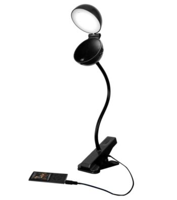 Vibe 12-Light Clip-On Light with Speaker