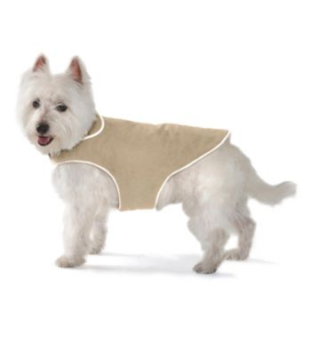 Dog Gone Smart™ Dog Jacket with Ecru Piping