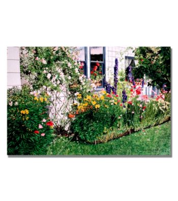 The Tangled Garden Framed Art by David Lloyd Glover