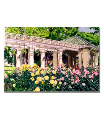 Tournament of Roses Framed Art by David Lloyd Glover