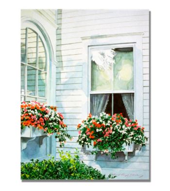 Window Boxes Framed Art by David Lloyd Glover