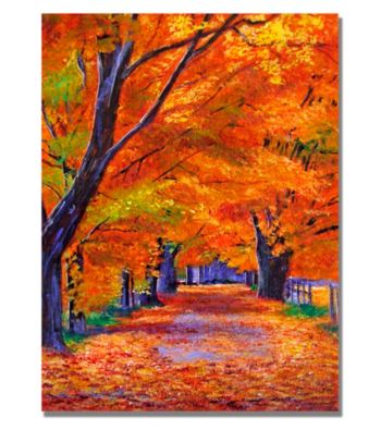 Leafy Lane Framed Art by David Lloyd Glover