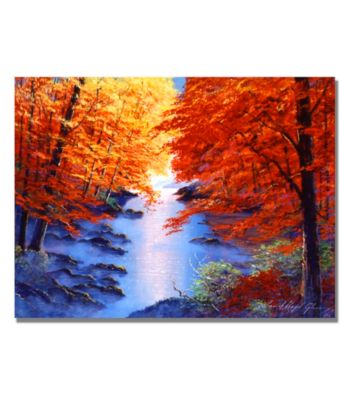 Laguna Niguel Framed Art by David Lloyd Glover