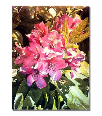 Royal Rhododendrons Framed Art by David Lloyd Glover