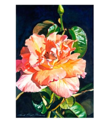 Royal Rose Framed Art by David Lloyd Glover