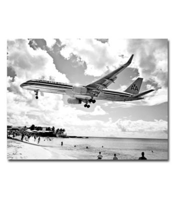 American Airliner Framed Art by Shelia Golden