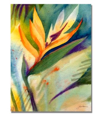 Bird of Paradise Framed Art by Shelia Golden