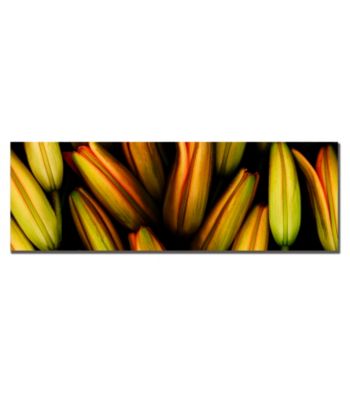 Lilly Framed Art by Preston