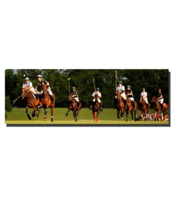 USA Polo Framed Art by Preston