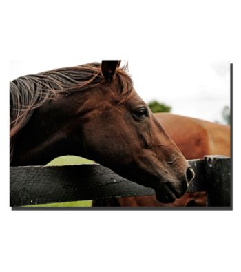 Horse 22 Framed Art by Preston