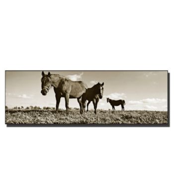 The Horses Framed Art by Preston