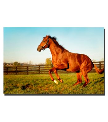 Red Giant Framed Art by Preston