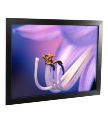 Eternal Seductiveness Canvas Framed Art