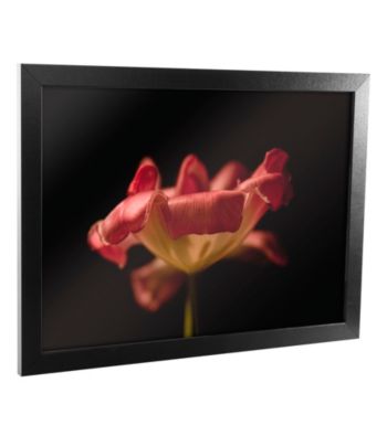 Tulip Canvas Framed Art