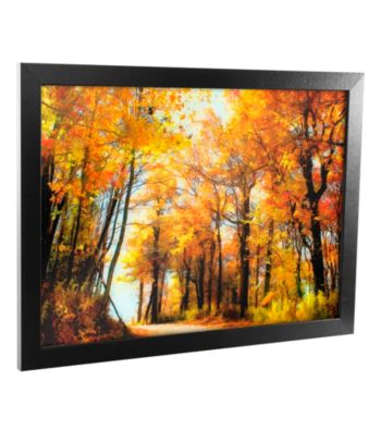'Golden Days' Canvas Framed Art