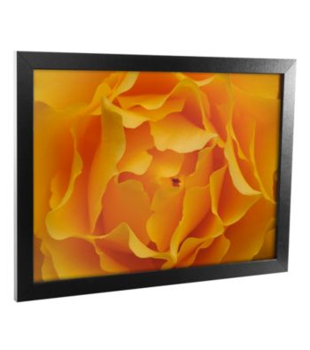 Hypnotic Yellow Rose Canvas Framed Art