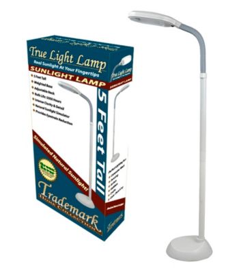 Trademark Home Collection Sunlight Floor Lamp