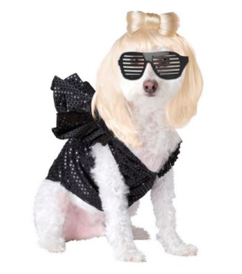 Lady Dogga Pet Costume