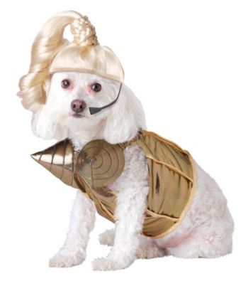 Blonde Ham-bition Pet Costume