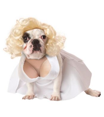 Silver Screen Starlet Pet Costume