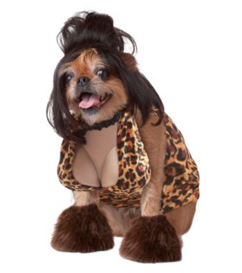 The Lady Is a Tramp Pet Costume