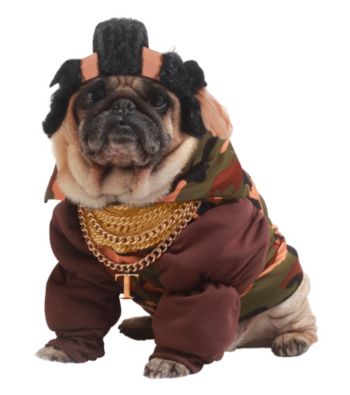 Pity the Fool Pet Costume
