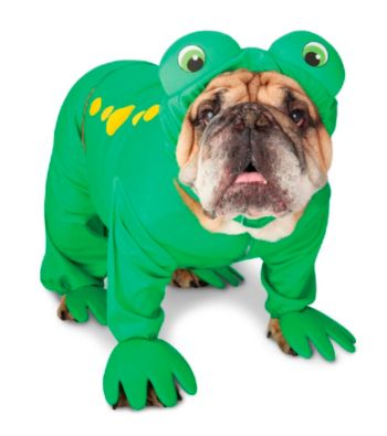 Zelda Frog Prince Pet Costume
