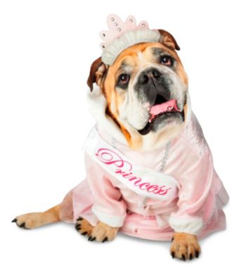 Zelda Princess Zelda Pet Costume