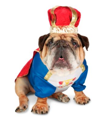 Zelda Canine King Pet Costume