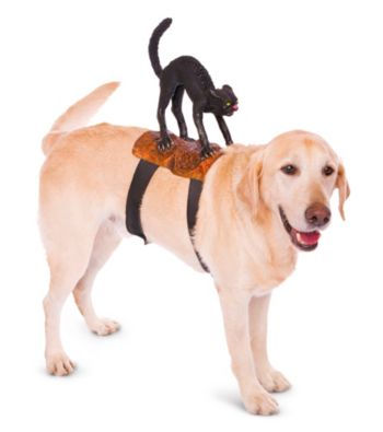 Rider Pet Costume