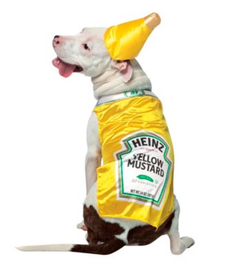 Heinz Mustard Pet Costume