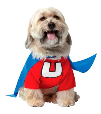 Underdog Pet Costume