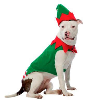 Elf Pet Costume