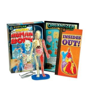 SmartLab® Toys Squishy Human Body
