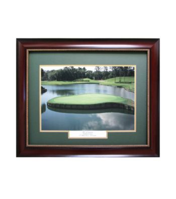 CGI Sports Memories TPC Sawgrass-17th Hole Framed Print