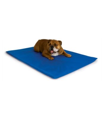 K&H Pet Products Medium Cool Bed III