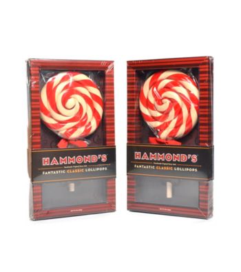 Hammond's Candies® Set of 2 10-oz. Lollipops