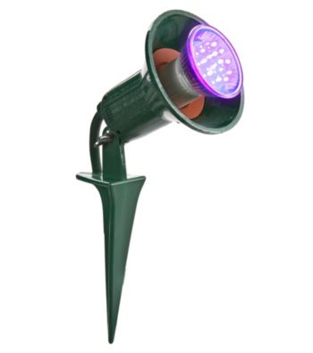 Black Light LED Light Bulb with Fixture