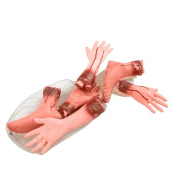 6-pc. Body Parts